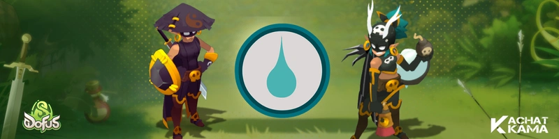 dofus roublard eau