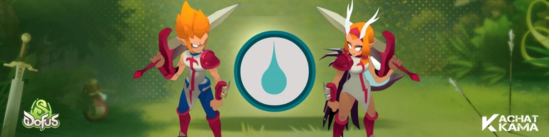 Stuff Ecaflip Eau Dofus unity