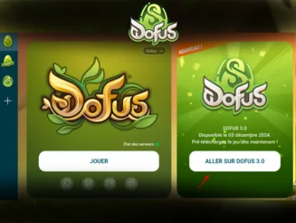 Pré-téléchargement Dofus 3 Unity